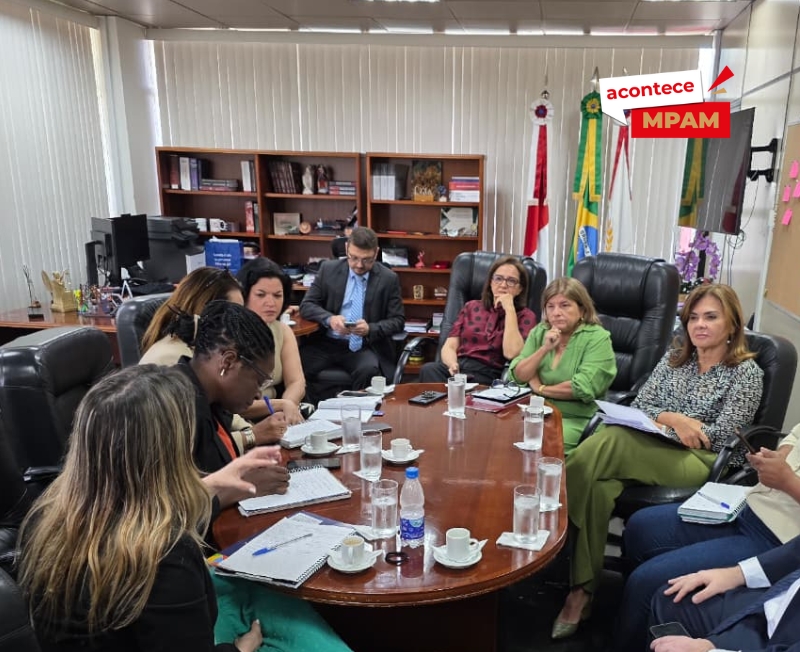 130825 Reunião interministerial Hirailton Gomes 4 78561