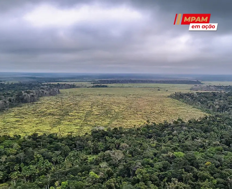 290525 Desmatamento Amazônia Divulgação Polícia Federal 2 c3c4e