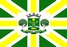 municipio benjamin constant bandeira mini brnnam0200300607 9dc94