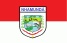 municipio nhamunda bandeira mini brnnam0301003007 816b5