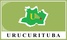 municipio urucurituba bandeira mini brnnam0300904401 6876d